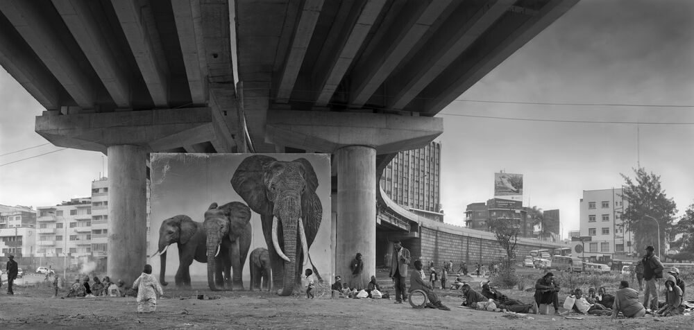 Underpass with Elephants (Lean Back, Your Life is On Track)